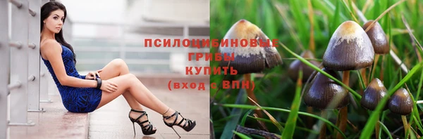 ECSTASY Рославль