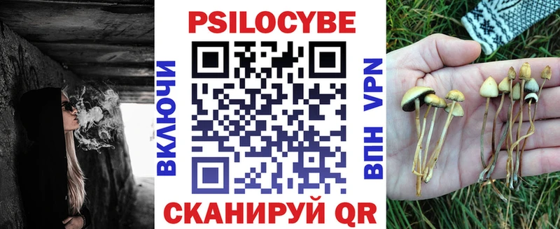 Галлюциногенные грибы Psilocybe  Беломорск 