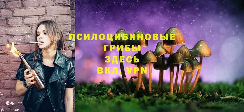 Псилоцибиновые грибы Magic Shrooms Беломорск